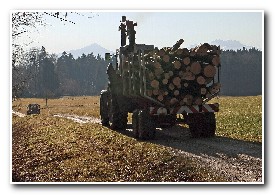 Odvoz dřeva
